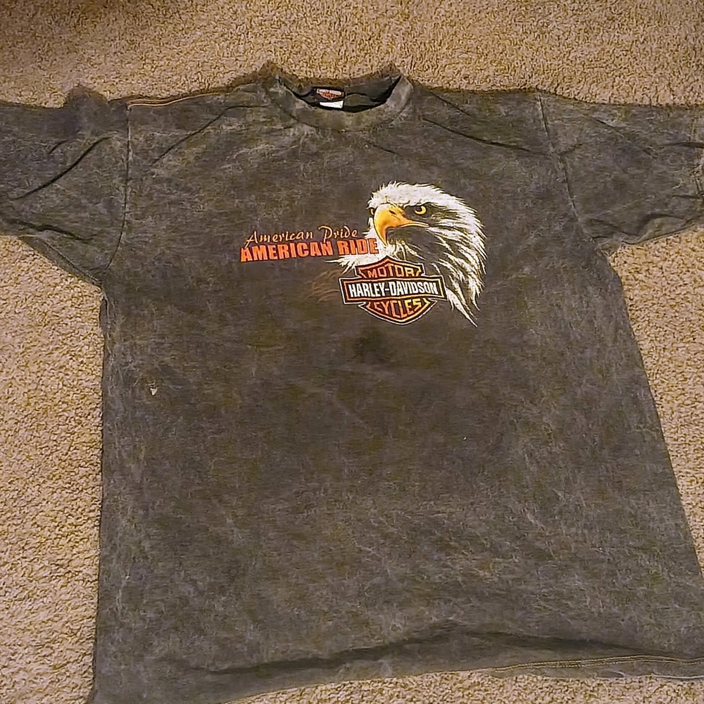Harley-Davidson Gray Graphic T-Shirt